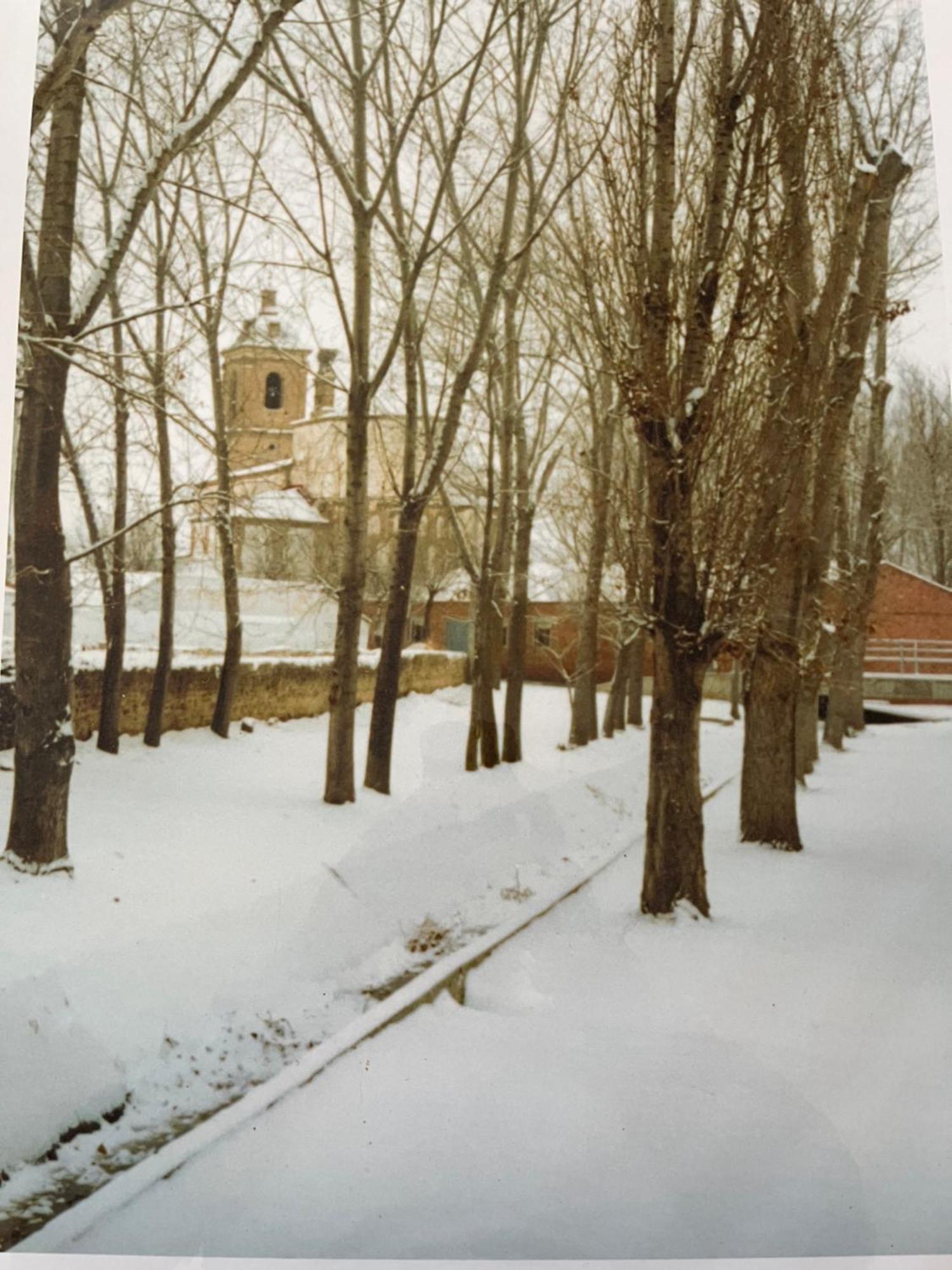 La Alameda Villa Fontiveros Bagian luar foto